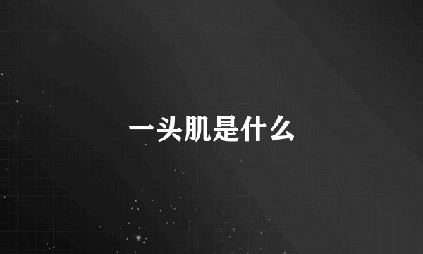 一头肌是什么