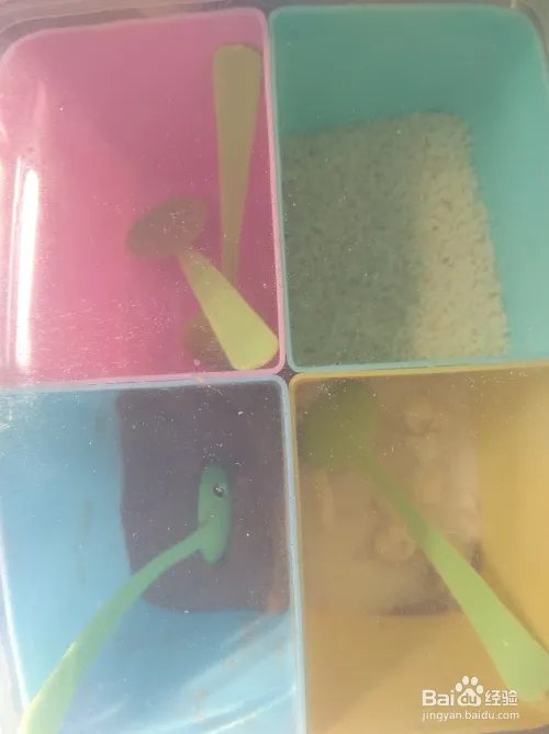 学生菜谱大全及做法