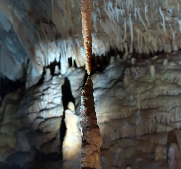 石钟乳到底是怎么形成的？石钟乳和石笋究竟有什么区别？