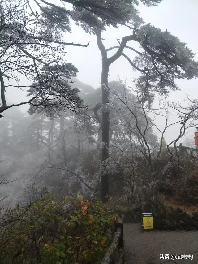 黄山后杭州西湖游客又人满为患，你有什么观点，你怎么看？