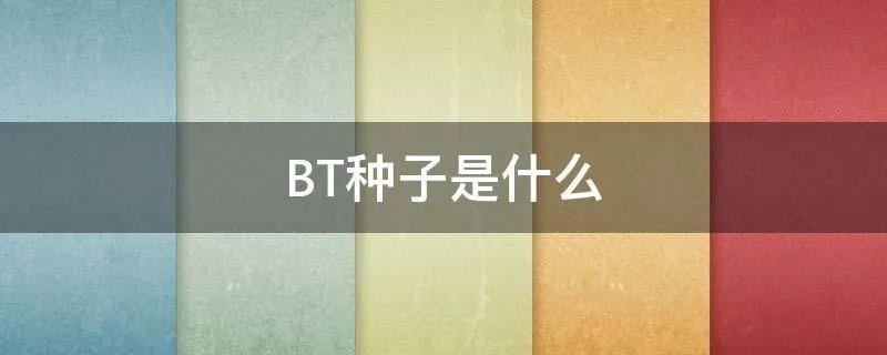 BT种子是什么