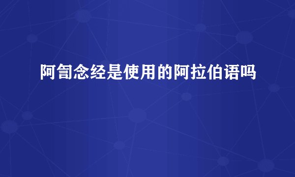 阿訇念经是使用的阿拉伯语吗