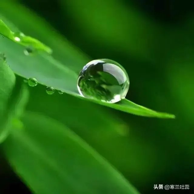 雨水落雨三大碗 大河小河都要满 说的是哪个季节