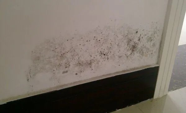 内墙墙壁渗水怎么解决