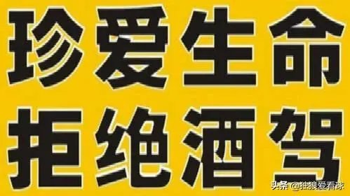 天津天海球员、国足门将张鹭醉驾被公诉,涉危险驾驶罪,被查时血液酒精含量达253.3毫克/100毫升。你怎么看?