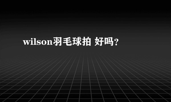 wilson羽毛球拍 好吗？