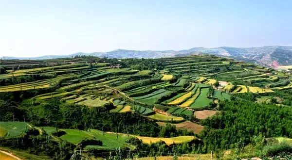 佛山与固原签订劳务合作协议的具体情况有哪些?