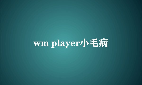 wm player小毛病