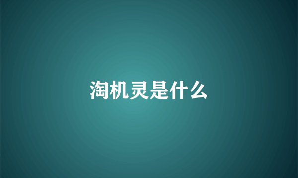 淘机灵是什么
