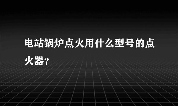 电站锅炉点火用什么型号的点火器？