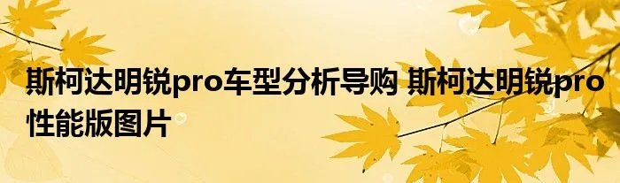 斯柯达明锐pro车型分析导购 斯柯达明锐pro性能版图片