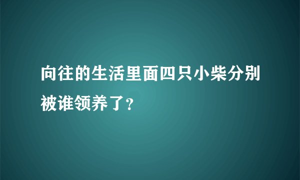 向往的生活里面四只小柴分别被谁领养了？