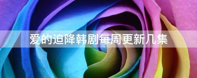爱的迫降韩剧每周更新几集