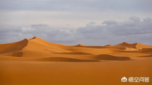 沙漠胶水真的能治好沙漠吗？