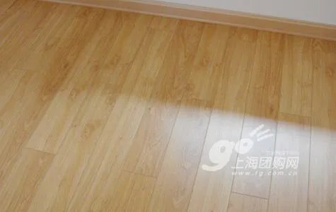 上海团购网家访秀 小乖猫咪的时尚简约家