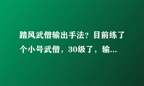 踏风武僧输出手法？目前练了个小号武僧，30级了，输出有没有什么手法？