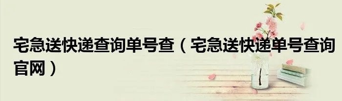 宅急送快递查询单号查（宅急送快递单号查询官网）