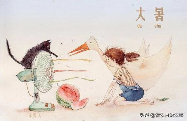 农村老话“大暑凉飕飕，立冬笑死牛”是啥意思？有道理吗？