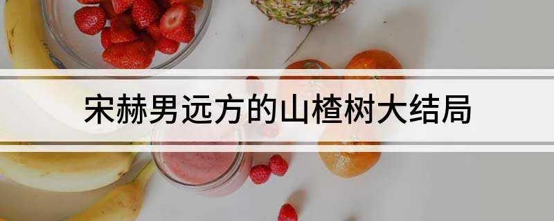 宋赫男远方的山楂树大结局