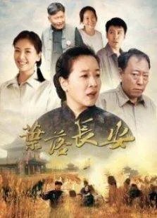 叶落长安的剧集评价