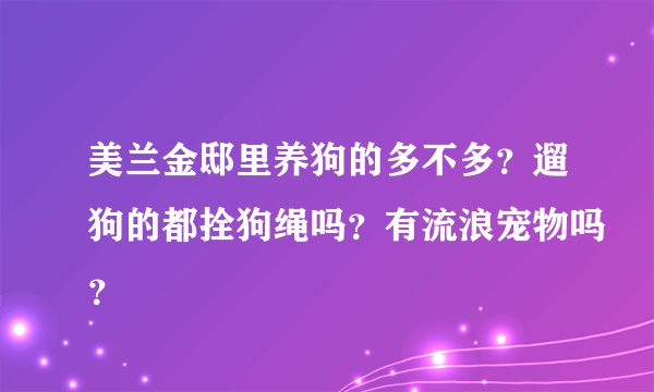 美兰金邸里养狗的多不多？遛狗的都拴狗绳吗？有流浪宠物吗？