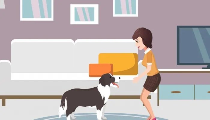 边境牧羊犬性格特点 边境牧羊犬是哪个国家的犬