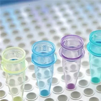 尿隐血怎么治疗