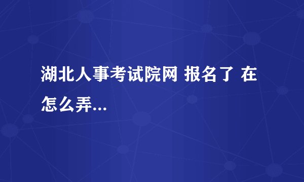 湖北人事考试院网 报名了 在怎么弄...