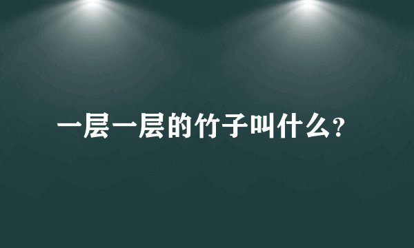 一层一层的竹子叫什么？