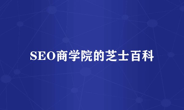 SEO商学院的芝士百科