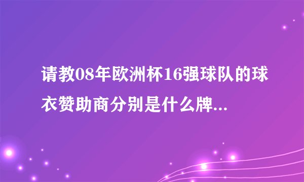 请教08年欧洲杯16强球队的球衣赞助商分别是什么牌子？谢谢！