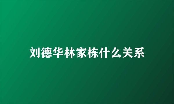 刘德华林家栋什么关系
