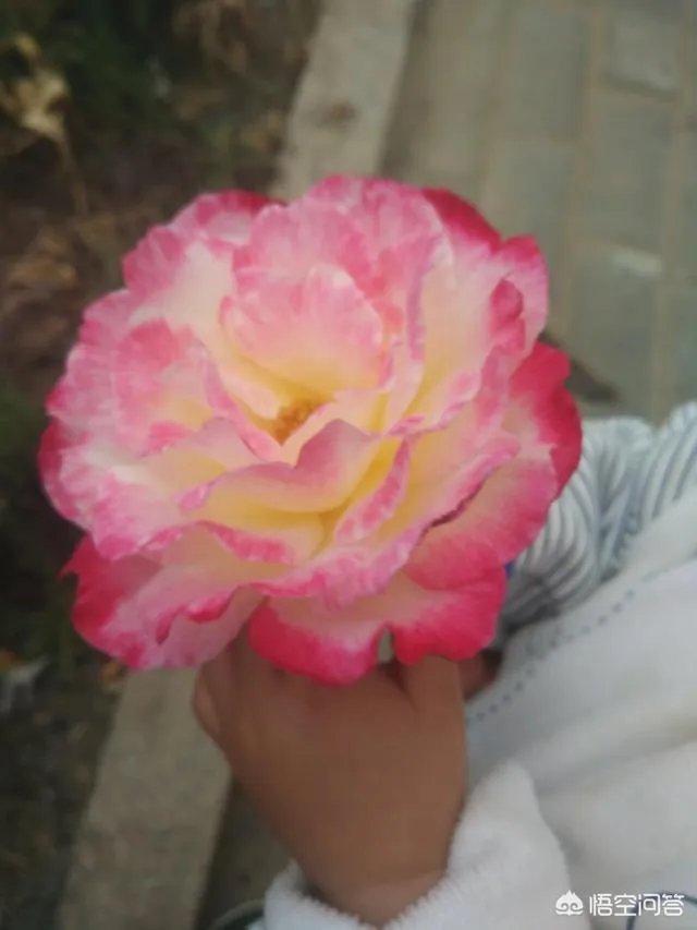 如何快速回奶？