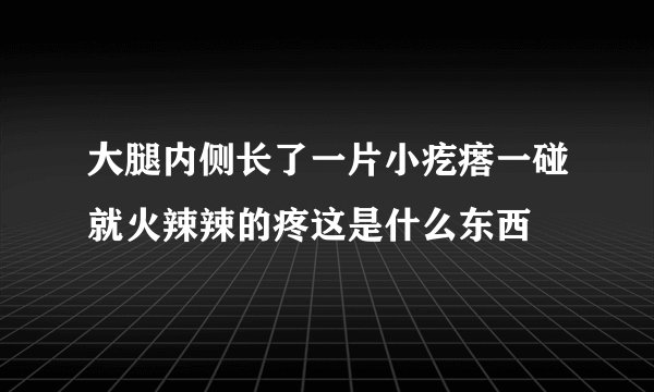 大腿内侧长了一片小疙瘩一碰就火辣辣的疼这是什么东西