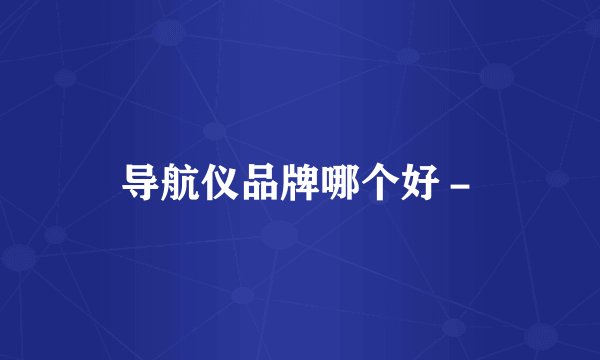 导航仪品牌哪个好－