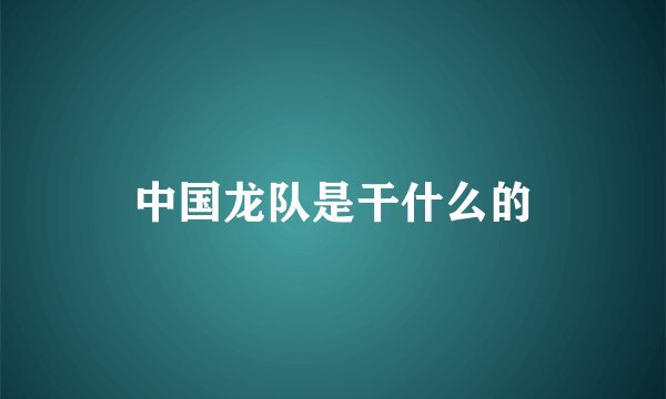 中国龙队是干什么的