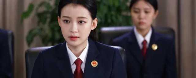 你好检察官剧情介绍