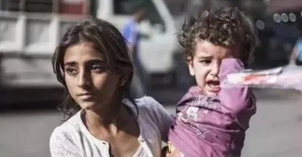 如何评价《何以为家》这部电影?