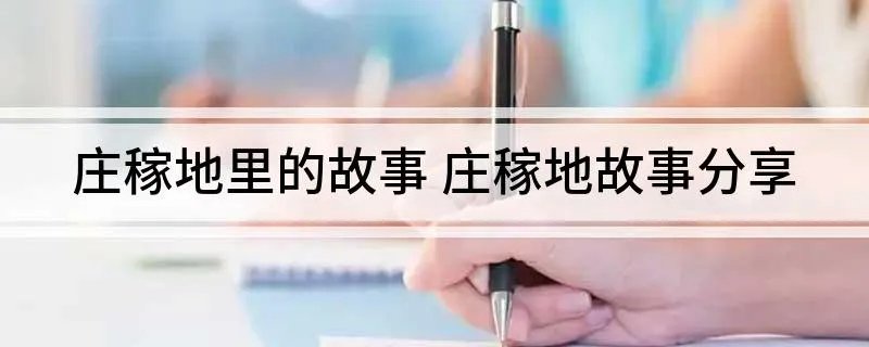 庄稼地里的故事 庄稼地故事分享