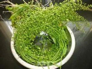 三月三，煮鸡蛋