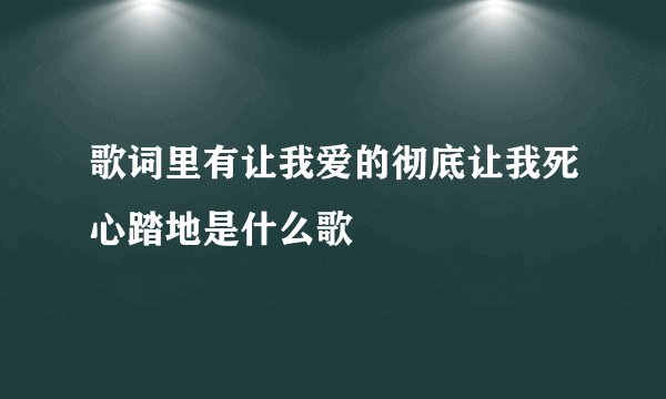 歌词里有让我爱的彻底让我死心踏地是什么歌