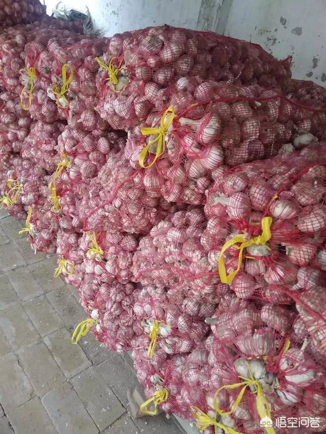 大蒜陆续上市，今年下半年我国大蒜价格会一直突飞猛进吗？