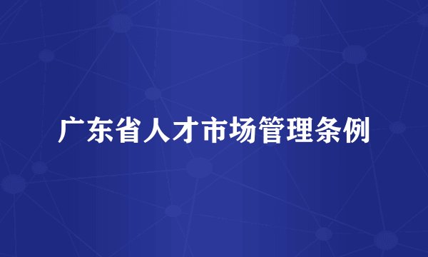 广东省人才市场管理条例