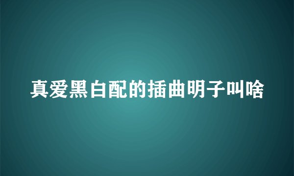 真爱黑白配的插曲明子叫啥