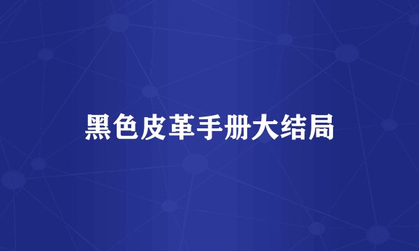 黑色皮革手册大结局