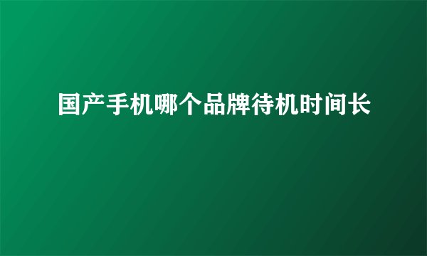 国产手机哪个品牌待机时间长