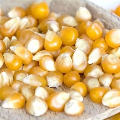 吃什么能去老年斑