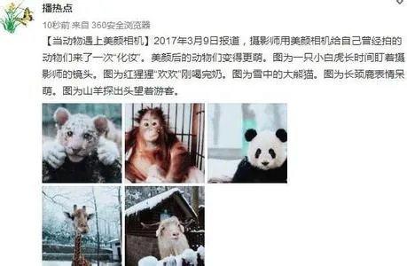 当动物遇上美颜相机是怎么回事？