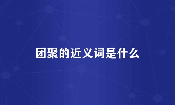 团聚的近义词是什么