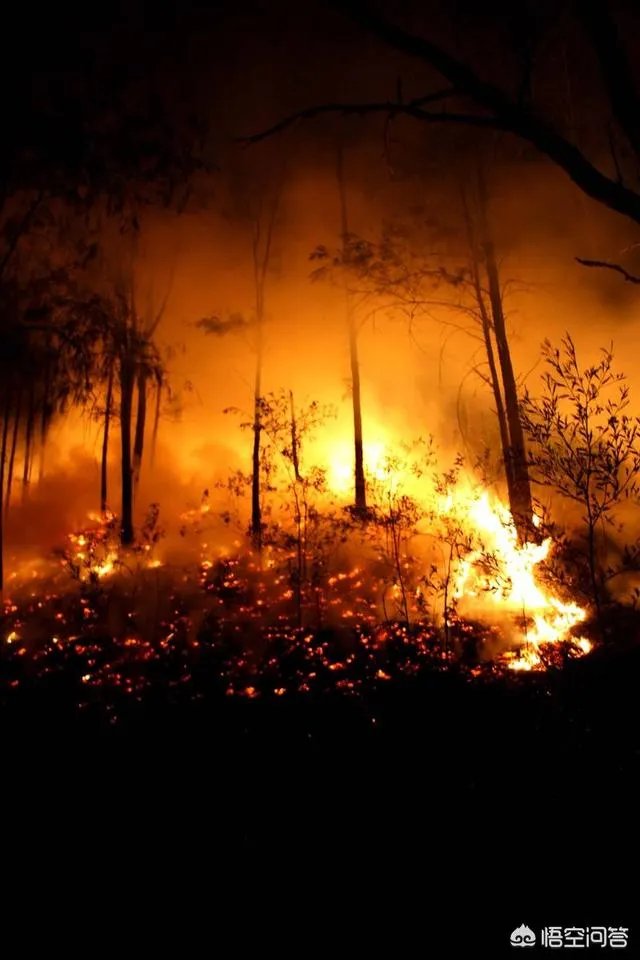 凉山30名扑火队员全部遇难。山火爆燃是如何发生的?